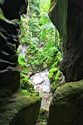 IMG_1950.JPG