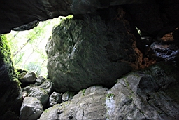 IMG_1957.JPG