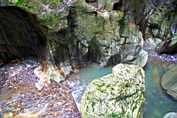 IMG_1961.JPG