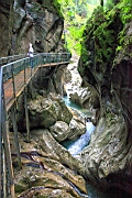 IMG_1972.JPG