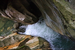 IMG_1975.JPG