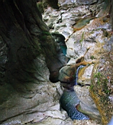 IMG_1976.JPG