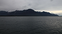 IMG_1984.JPG