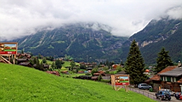 IMG_2024.JPG
