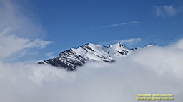 IMG_2060.JPG