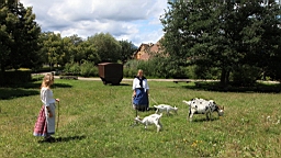 IMG_2285.JPG
