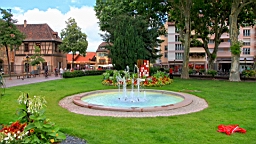 IMG_2288.JPG