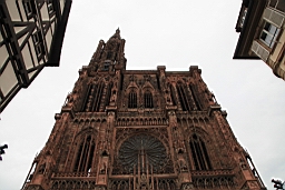 IMG_2335.JPG
