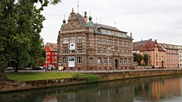 IMG_2343.JPG