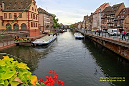 IMG_2347.JPG