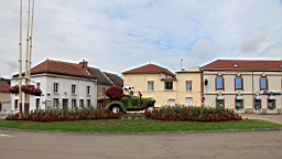 IMG_2350.JPG