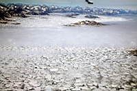 IMG_0247.JPG