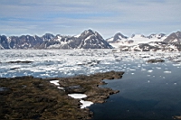 IMG_0265.JPG
