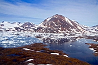 IMG_0266.JPG