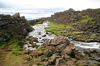 IMG_0484.JPG