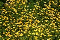 IMG_0511.JPG