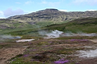 IMG_0517.JPG
