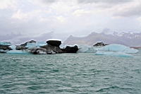 IMG_0635.JPG