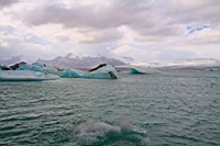 IMG_0636.JPG