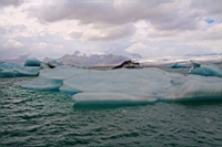 IMG_0637.JPG