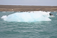 IMG_0656.JPG
