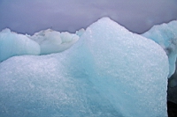 IMG_0671.JPG