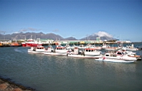 IMG_0723.JPG