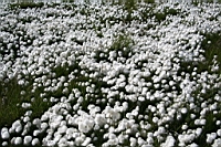 IMG_0727.JPG