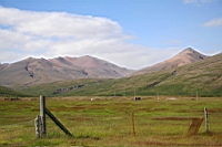 IMG_0741.JPG