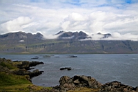 IMG_0768.JPG