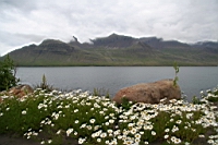 IMG_0774.JPG