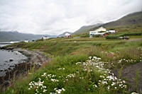 IMG_0775.JPG