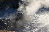 IMG_0879.JPG