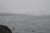 IMG_0957.JPG