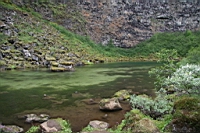 IMG_0970.JPG