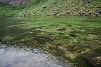 IMG_0975.JPG