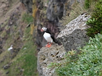 IMG_0984.JPG