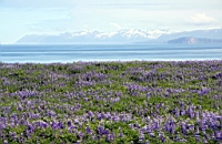IMG_1050.JPG