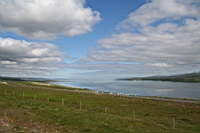 IMG_1078.JPG