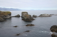 IMG_1101.JPG