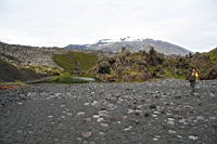 IMG_1113.JPG