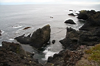 IMG_1119.JPG