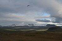 IMG_1124.JPG