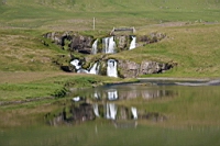 IMG_1131.JPG