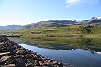 IMG_1135.JPG