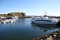 IMG_1142.JPG