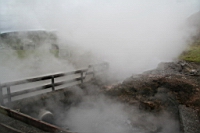 IMG_1159.JPG