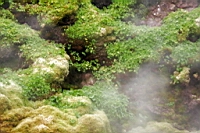 IMG_1162.JPG