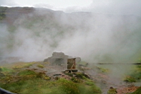 IMG_1186.JPG