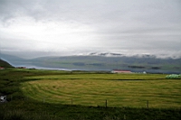 IMG_1189.JPG